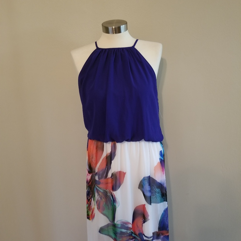 Bison Bisou Maxi Dress